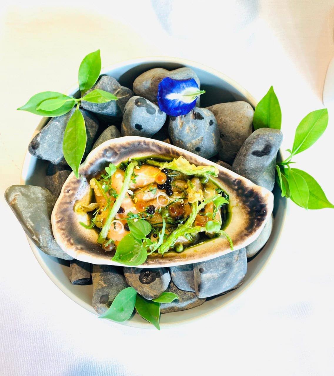 photo 2025 04 19 14 40 44 1 1